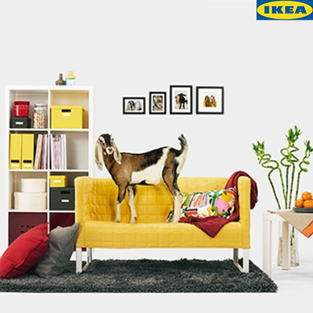 قصۀ برند: IKEA پسرکی با سودای همیشگی کسب‌وکار